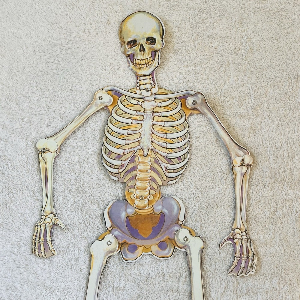 Vintage Amscan 34" Jointed Skeleton Halloween Cardboard Die Cut 1980s